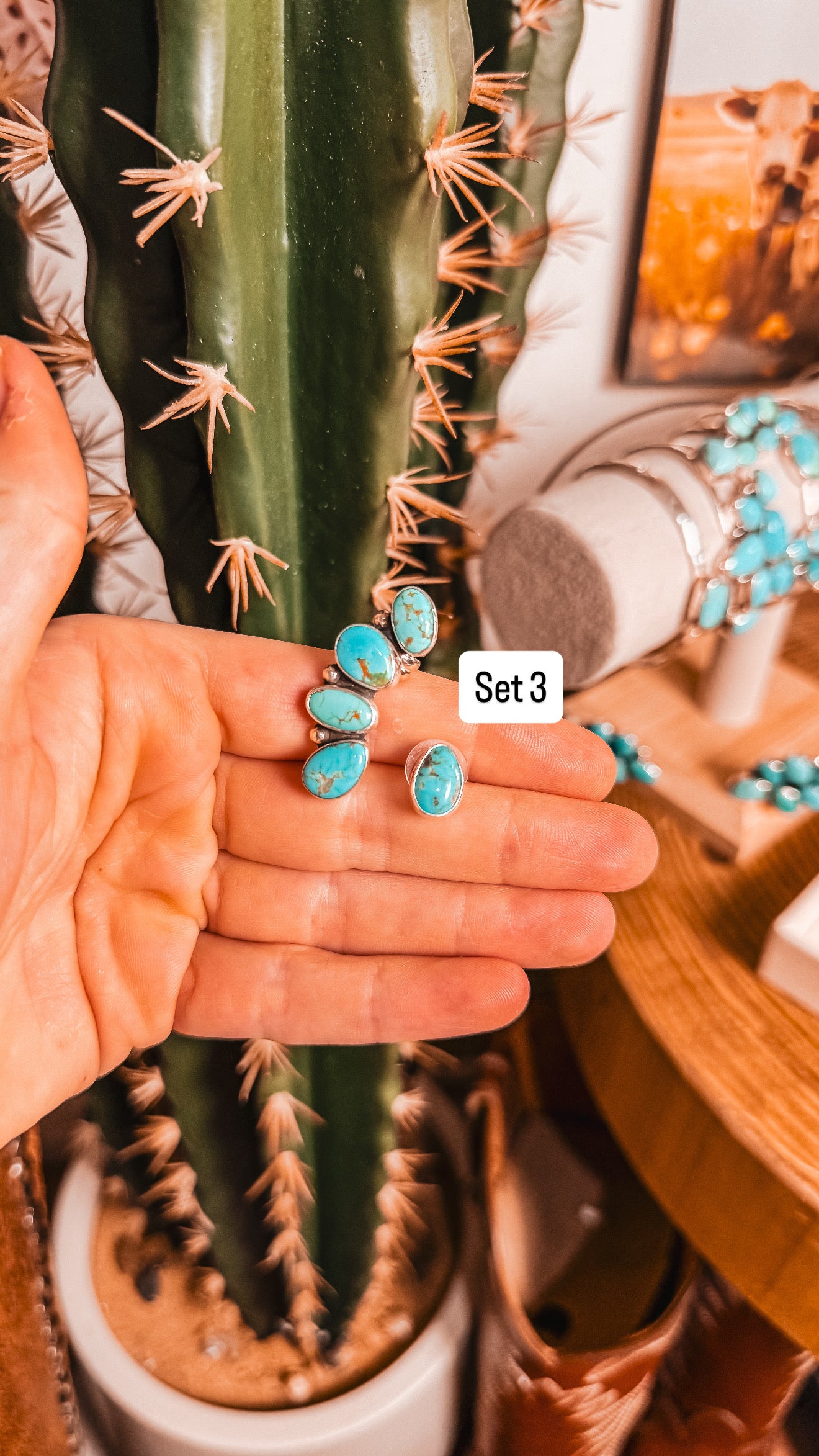 Sonoran Trail Crawlers